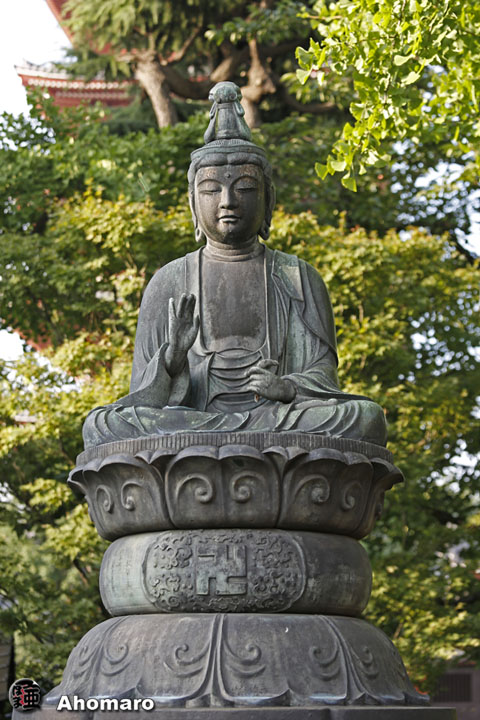 写真00