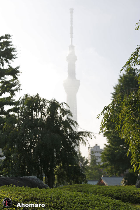 写真00