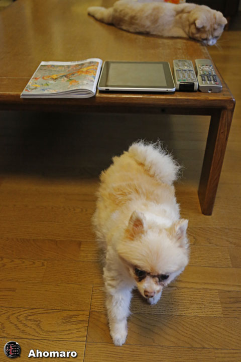 写真00