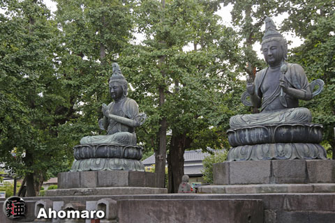 写真00