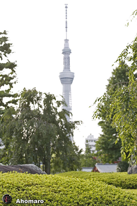 写真00
