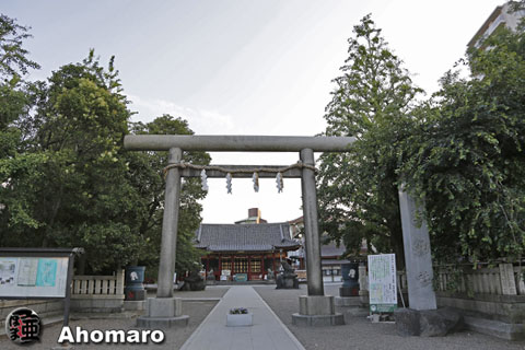 写真00