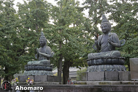 写真00