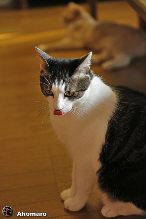 写真00