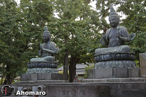 写真00