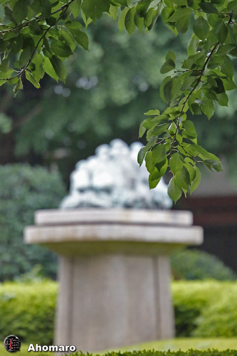 写真00