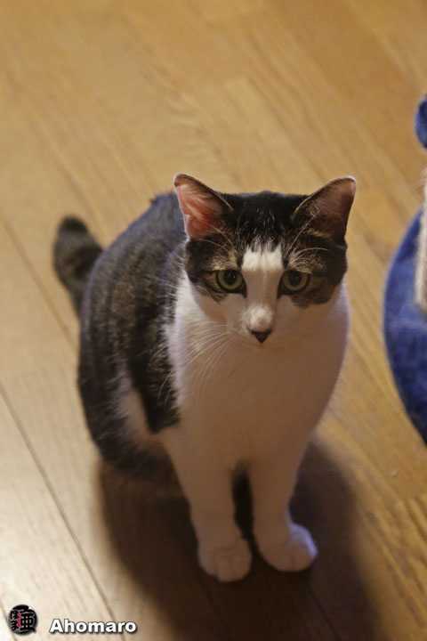 写真00