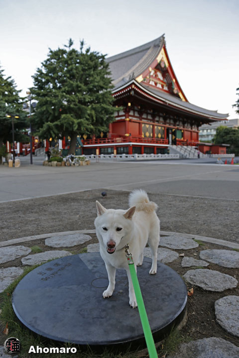 写真00