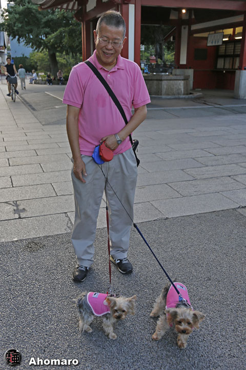 写真00