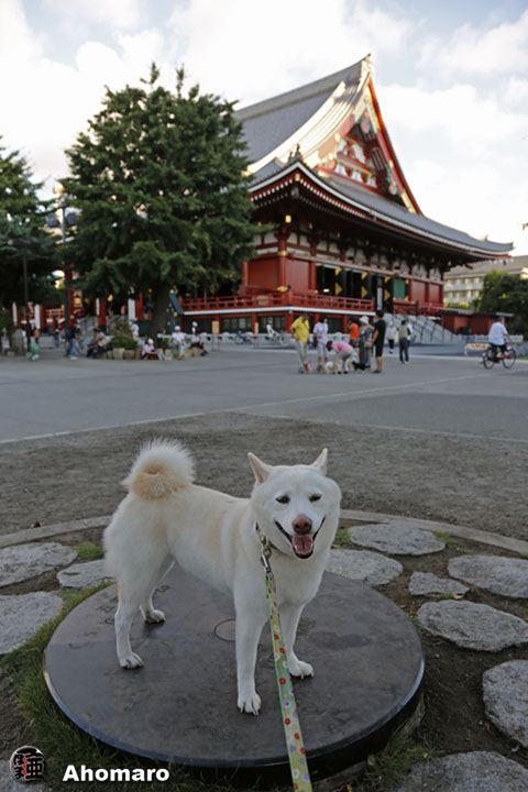 写真00