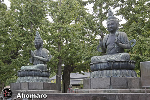 写真00