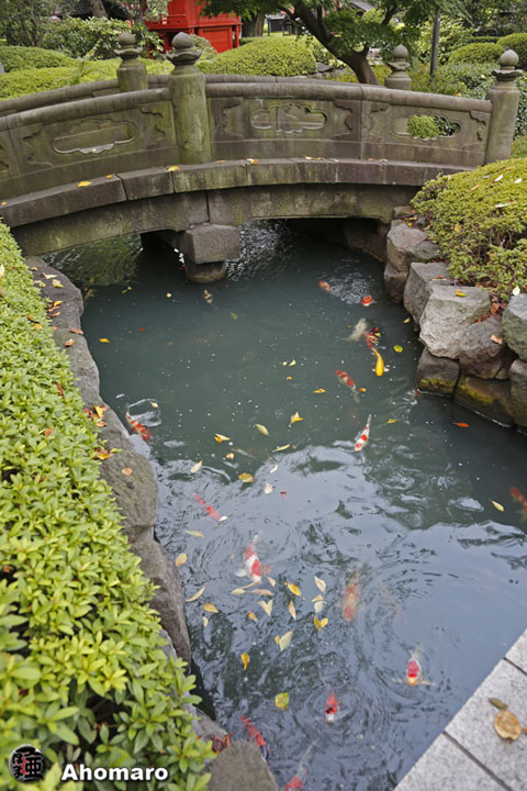 写真00