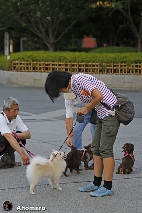 写真00