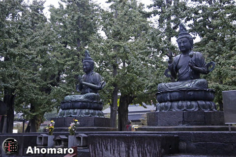 写真00