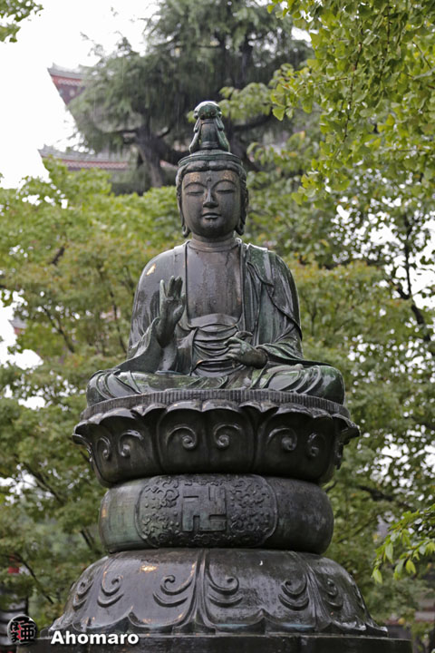 写真00