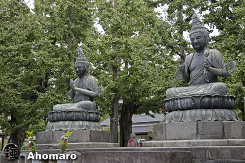 写真00