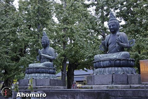 写真00
