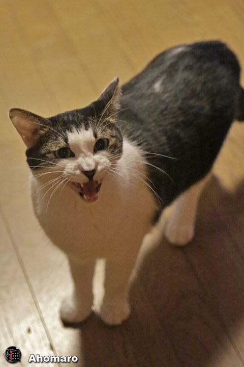 ʐ^00