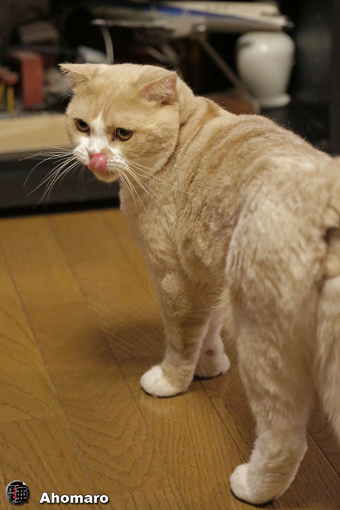写真00