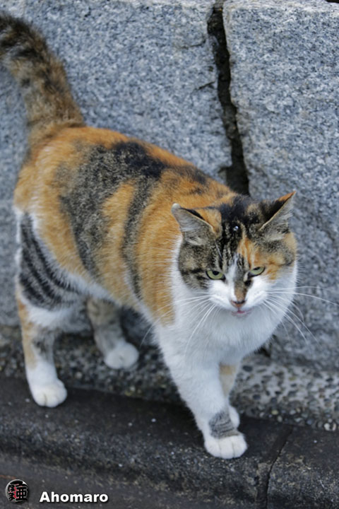 写真00