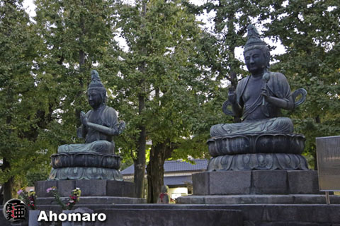 写真00