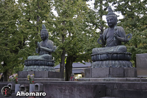 写真00