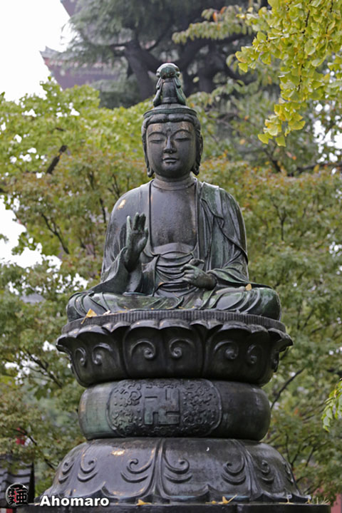 写真00