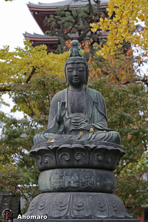 写真00