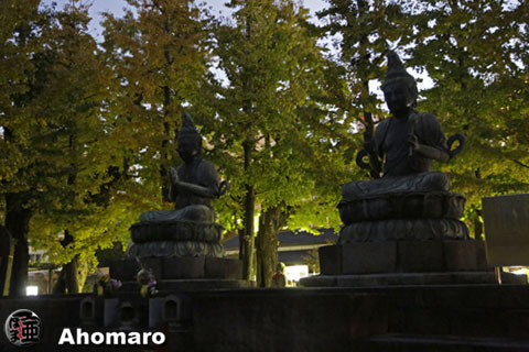 写真00