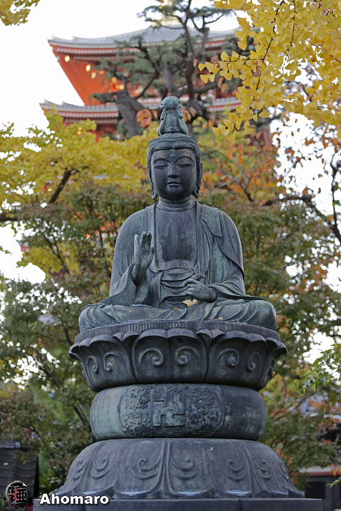 写真00