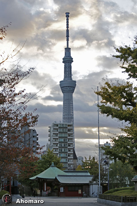 写真00