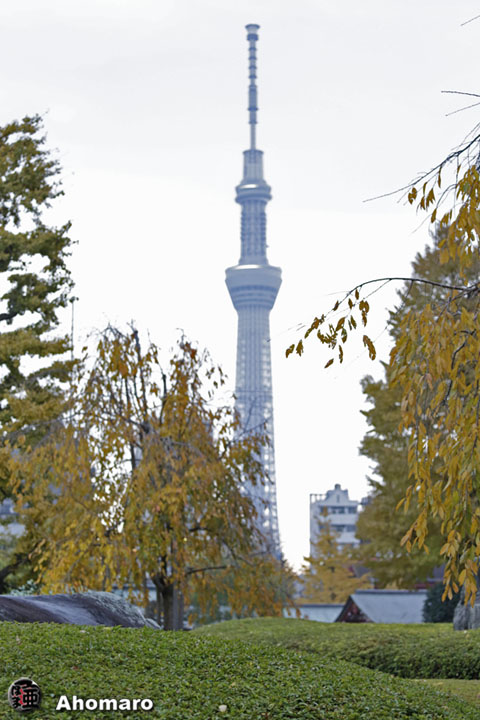 写真00