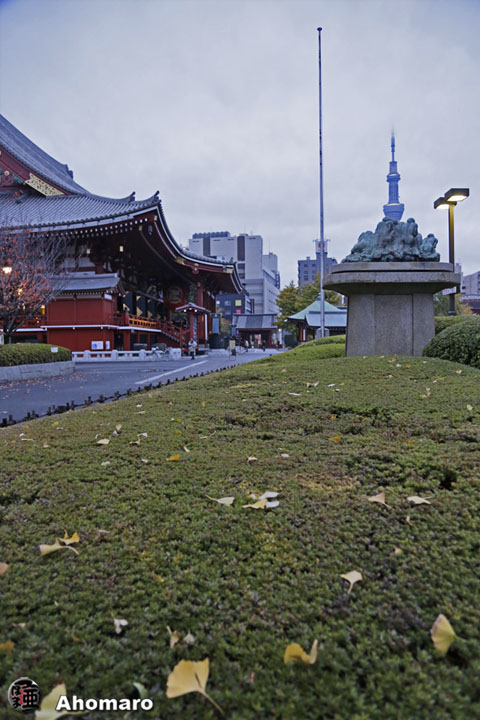 写真00