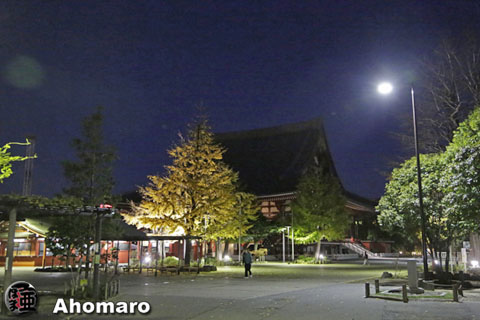写真00