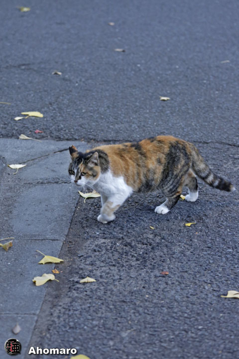 写真00