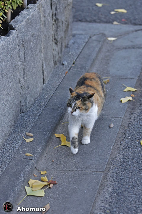 写真00