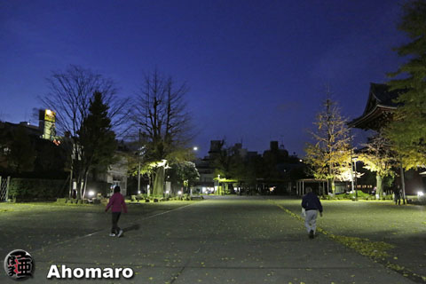 写真00