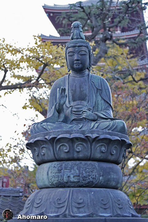 写真00