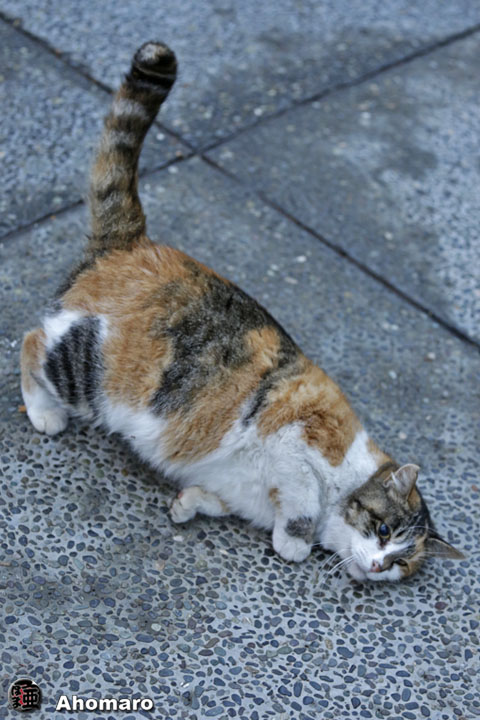 写真00