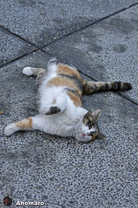 写真00