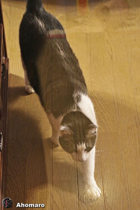写真00