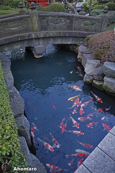 写真00