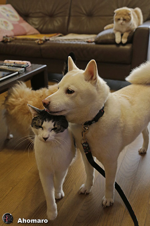 写真00
