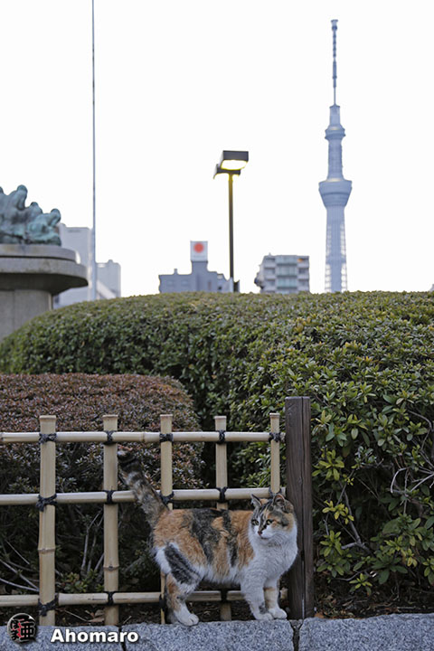 写真00