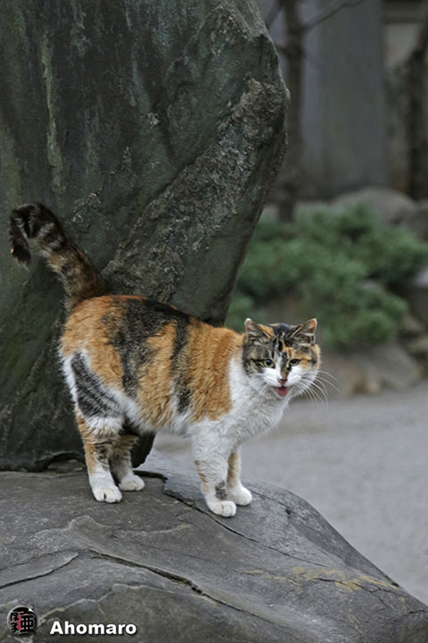 写真00