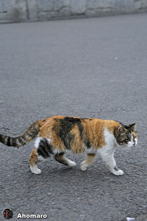 写真00