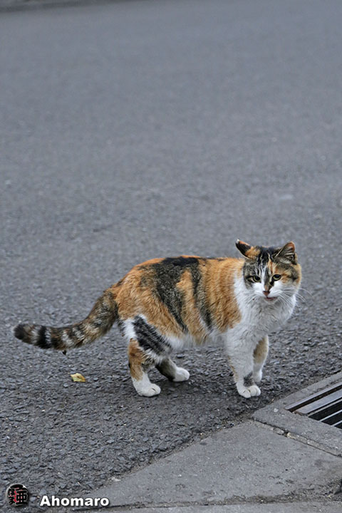 写真00