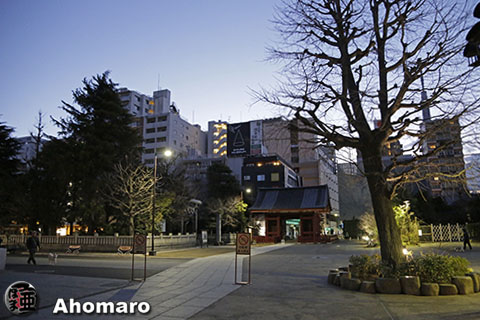 写真00
