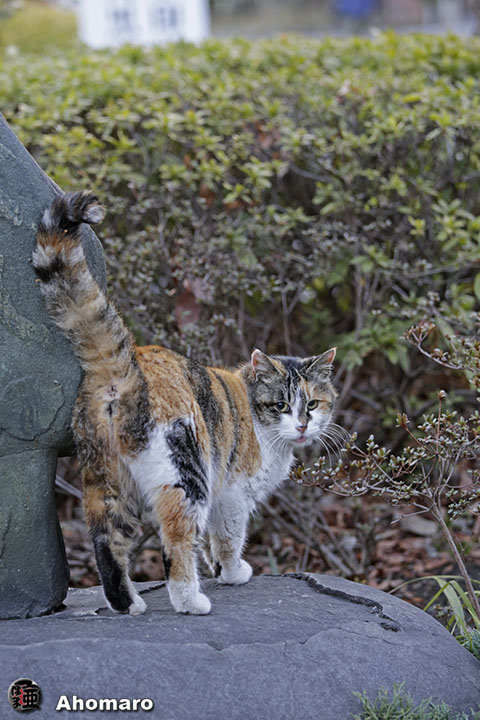 写真00