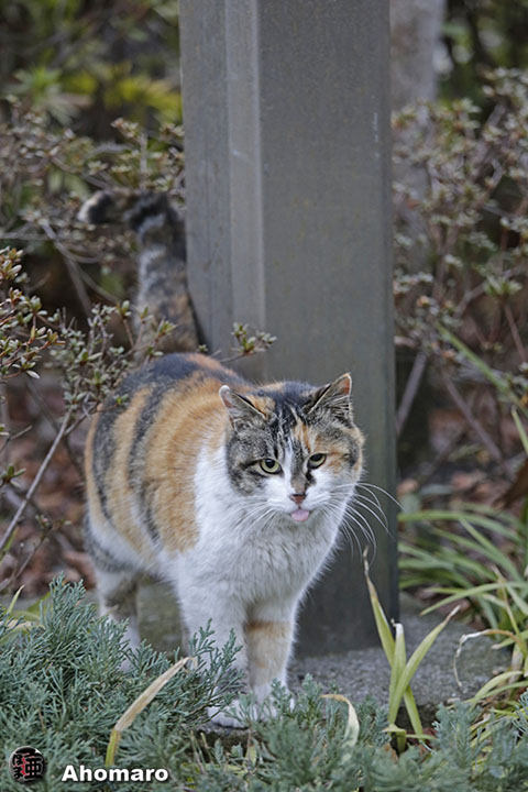 写真00